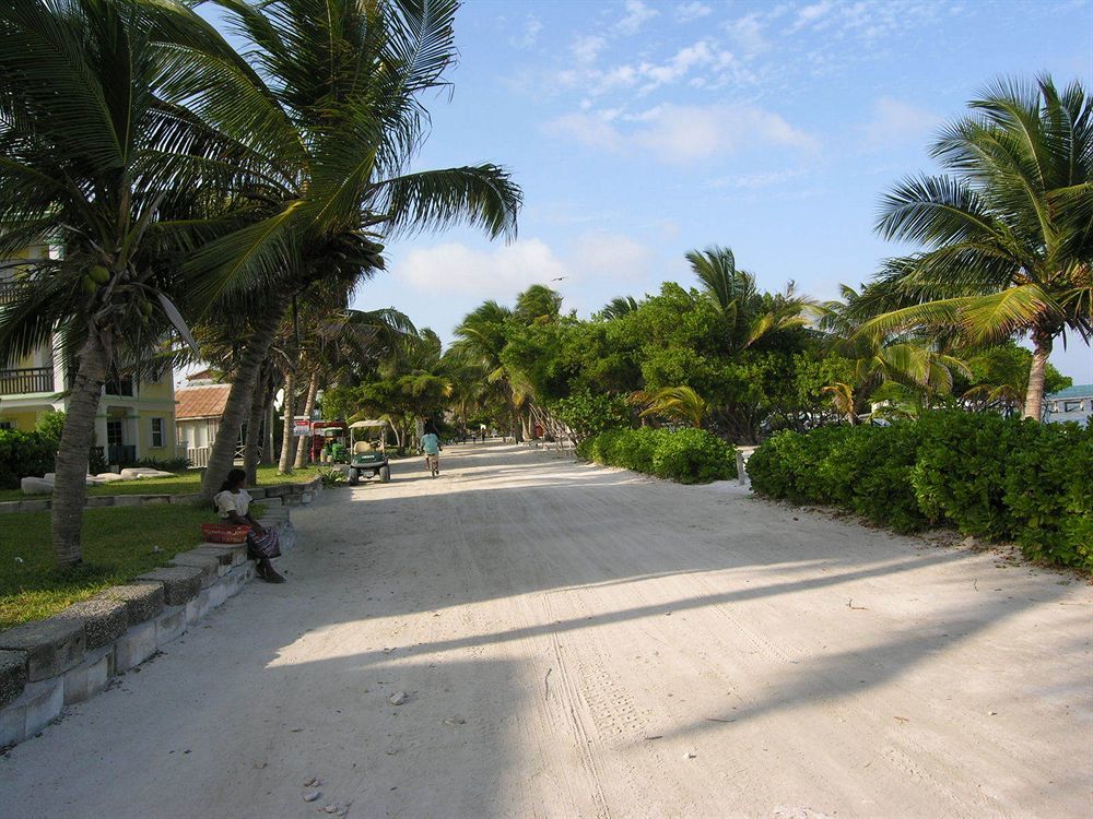 Seven Seas Resort Adults Only San Pedro  Eksteriør bilde